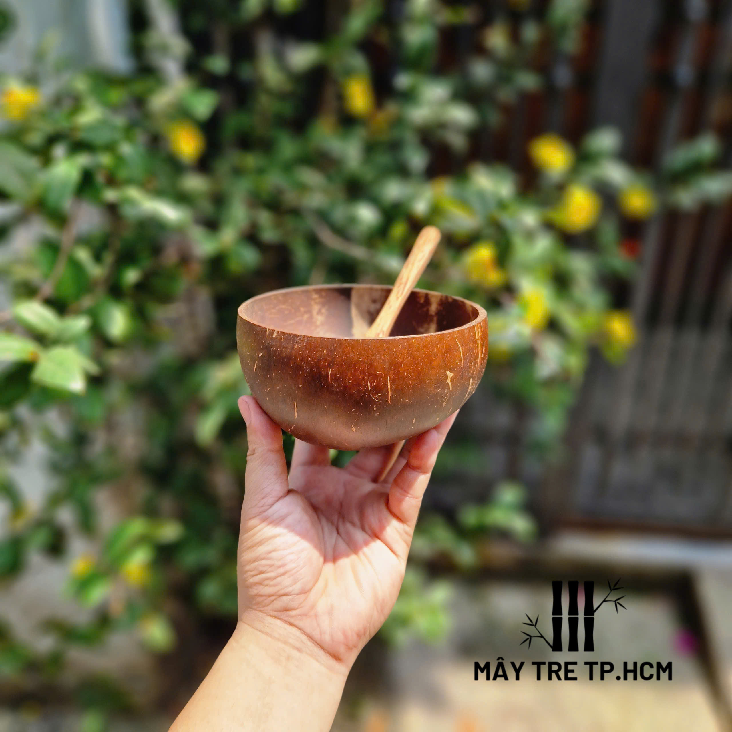 Bát gáo dừa, chén dừa, gáo dừa, chén ăn hạt ngủ cóc, chén gỗ,bát gỗ dừa
