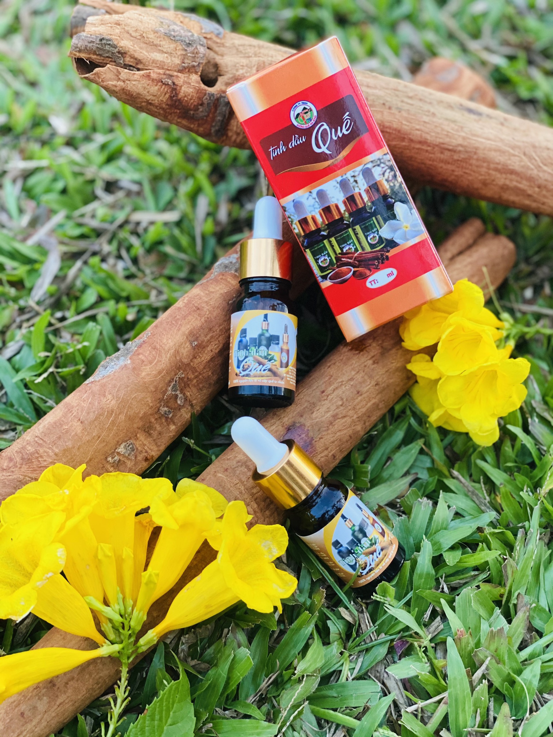 Tinh Dầu Vỏ Quế Trà Bồng 10ml