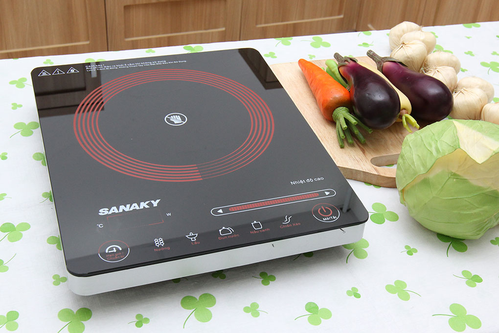 Bếp hồng ngoại Sanaky SNK2102HG.