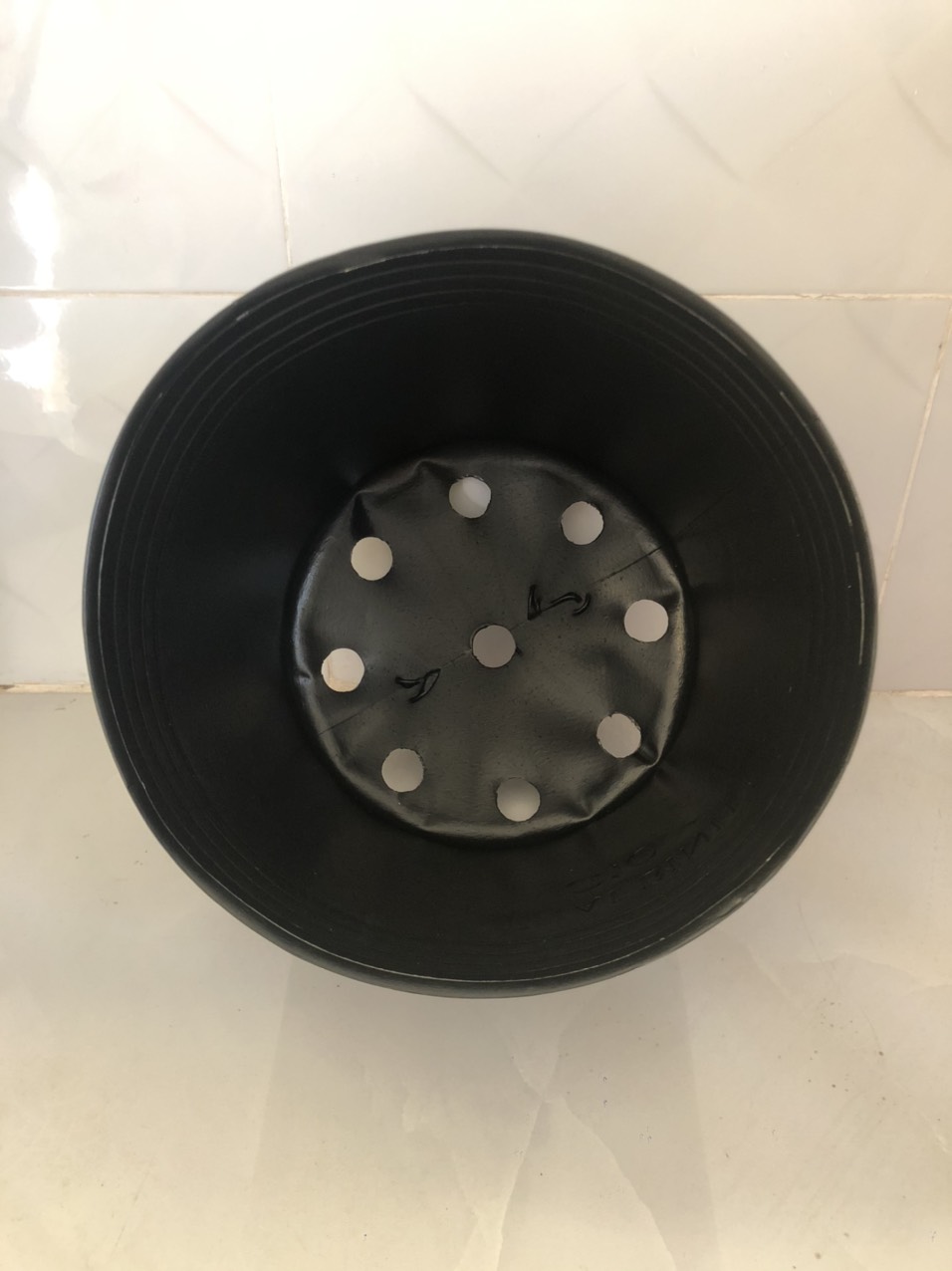 Chậu nhựa trồng cây 100 cái C8 đen