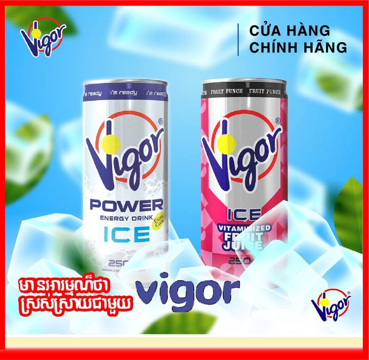 [ HÀNG CÔNG TY NHẬP KHẨU ] Nước Tăng Lực Vigor 250ml