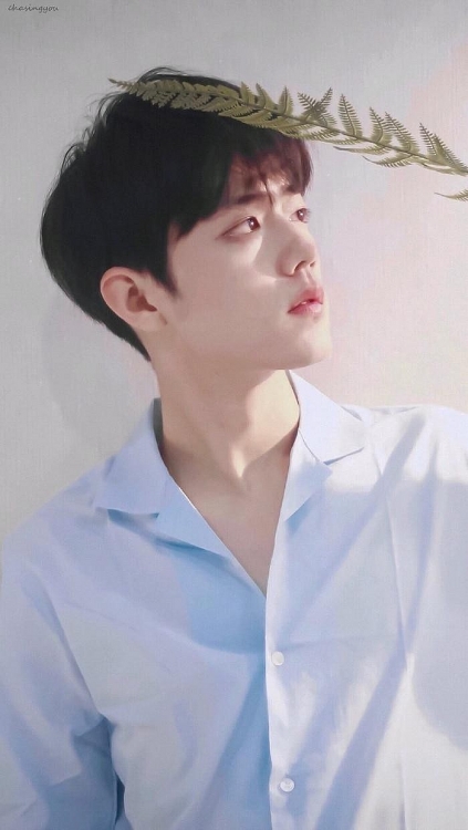 Hộp quà Tiêu Chiến mẫu 2