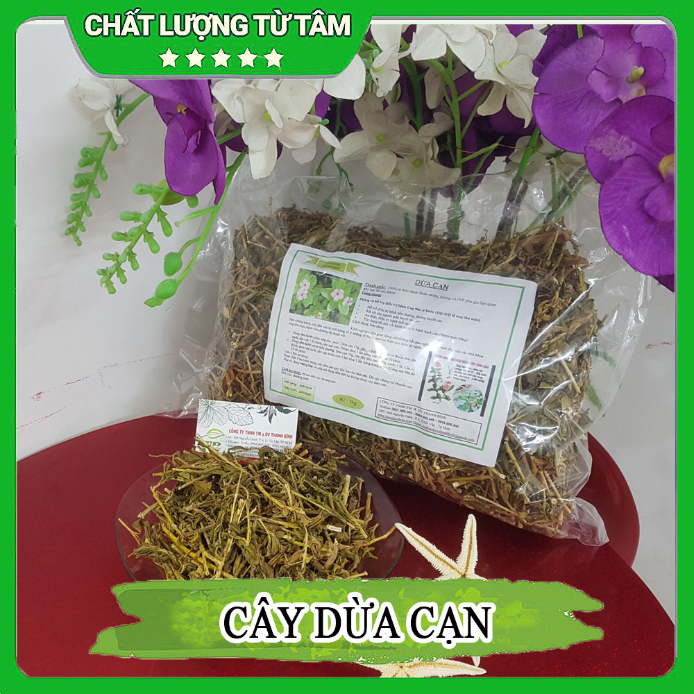 Cây dừa cạn khô 500g loại cao cấp - dược liệu thanh bình