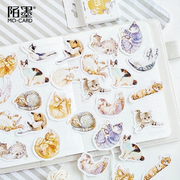 Hộp 45 sticker dán mèo cute Canarystore54
