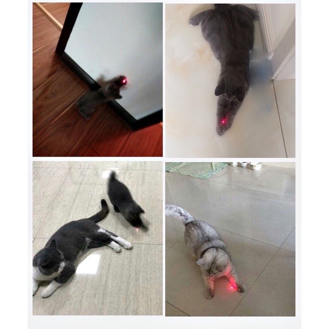 [HCM]Đèn laser đừa giỡn cho chó mèo - Super bright led laser pointer
