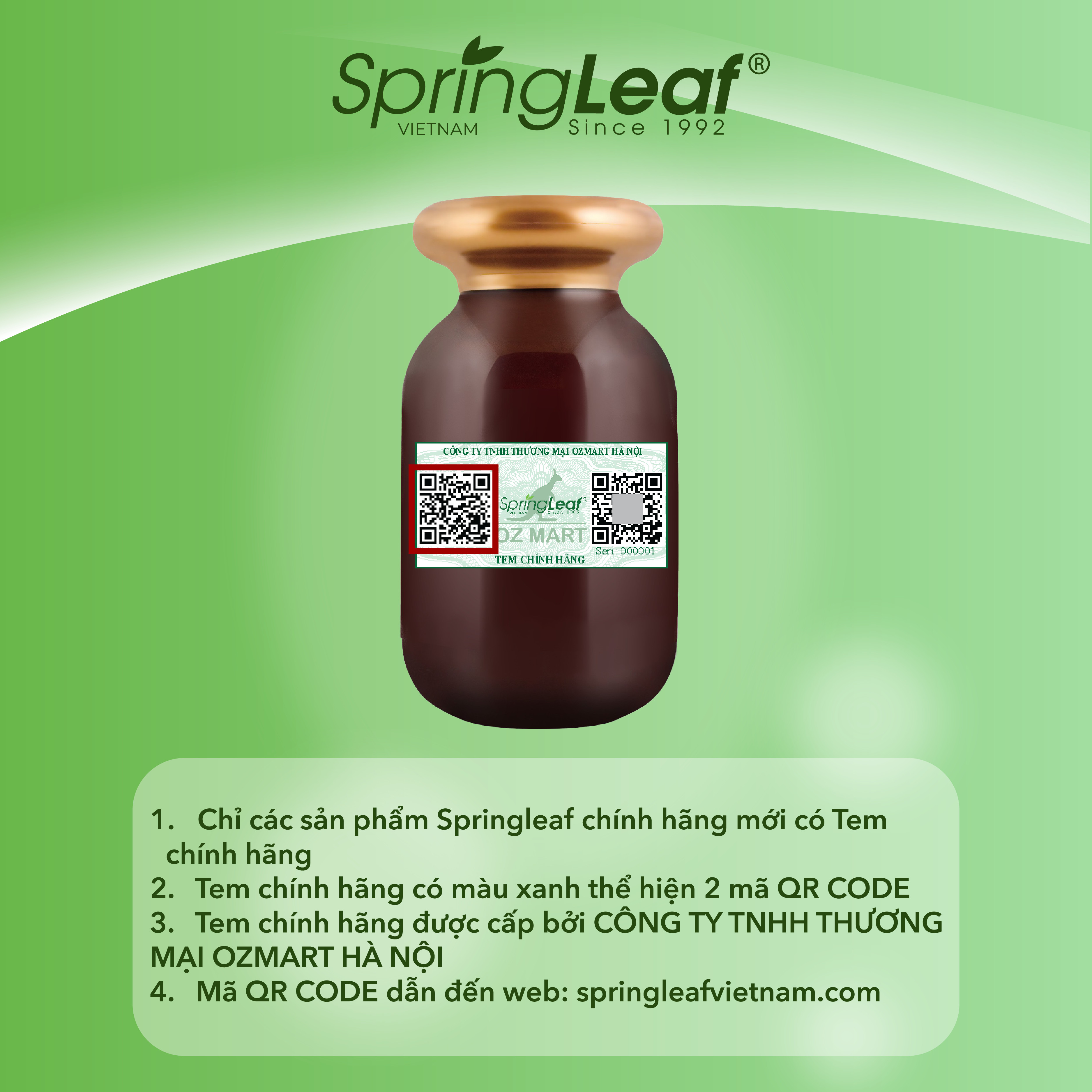 [Quà tặng] Set 06 bao lì xì SpringLeaf Tết 2024 03 màu