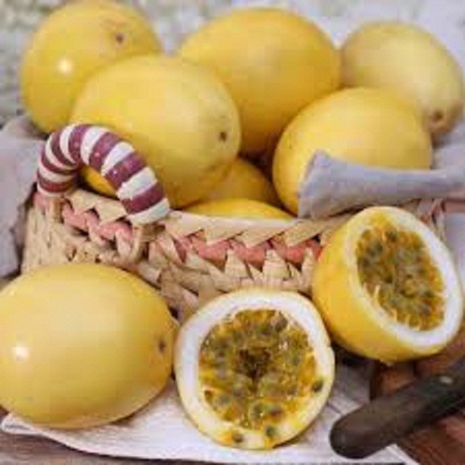 Cây giống chanh leo vàng