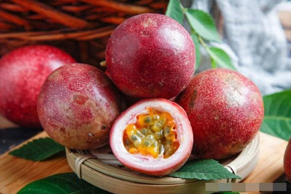 CÂY giống Chanh Leo tím [ Cây Ghép bầu to siêu khỏe  như hình - dễ trồng ] [ CÂY CHANH DÂY.
