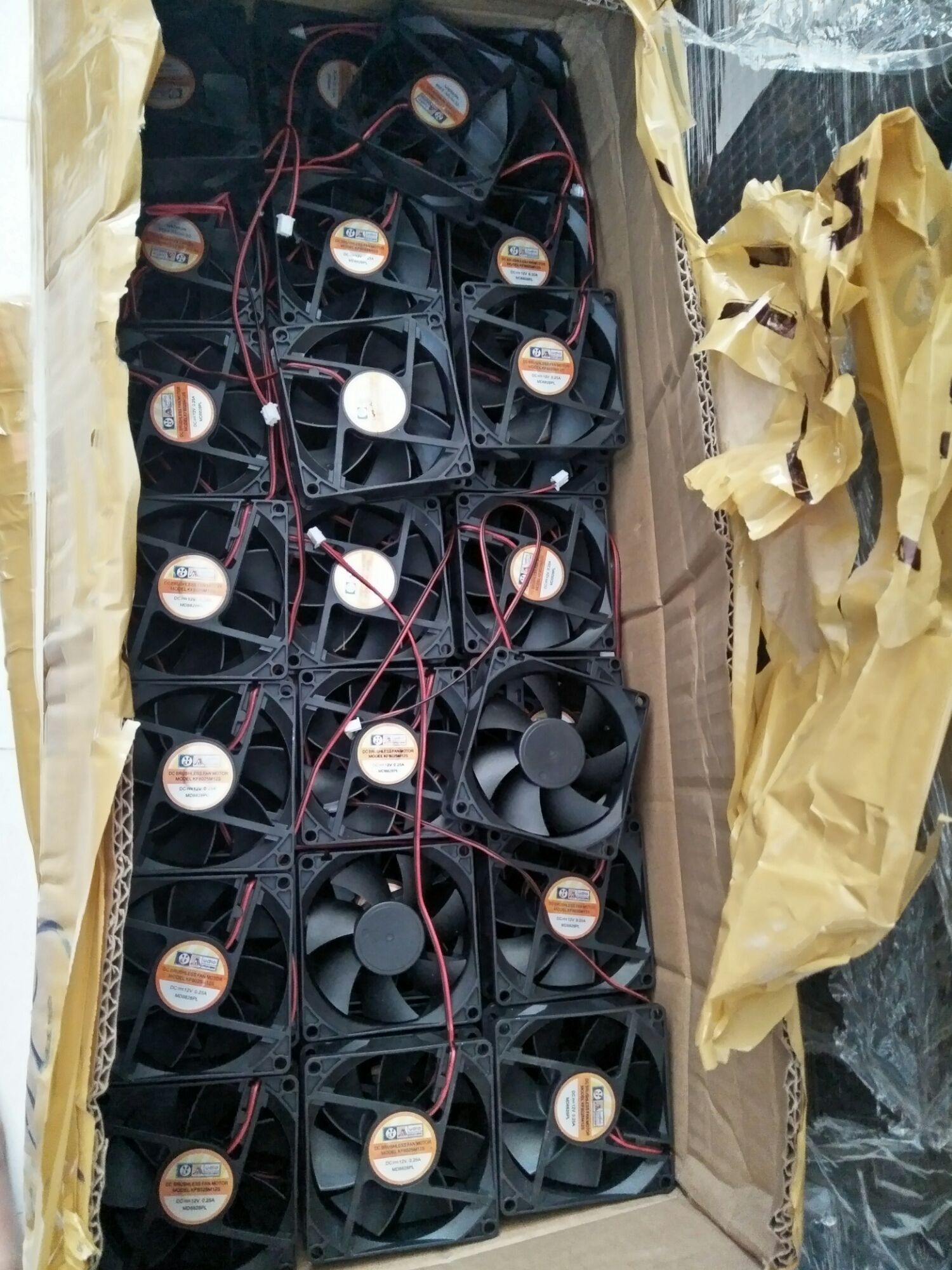 Quạt 12 v