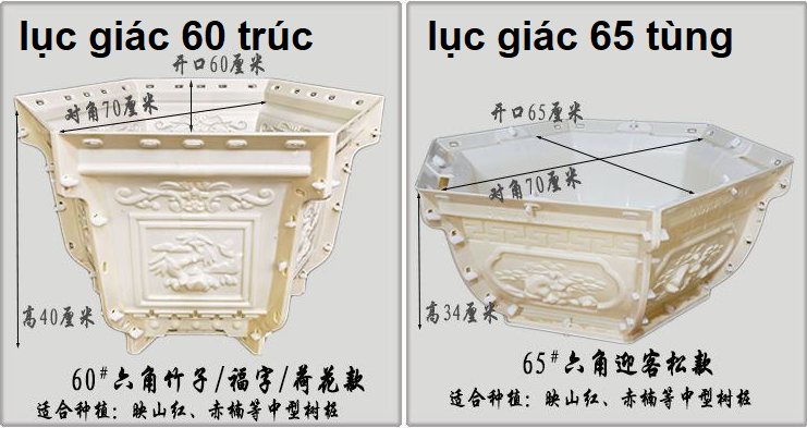 khuôn chậu lục giác 58