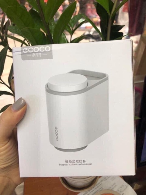 Hộp đựng bàn chải đánh răng kèm 2 cốc