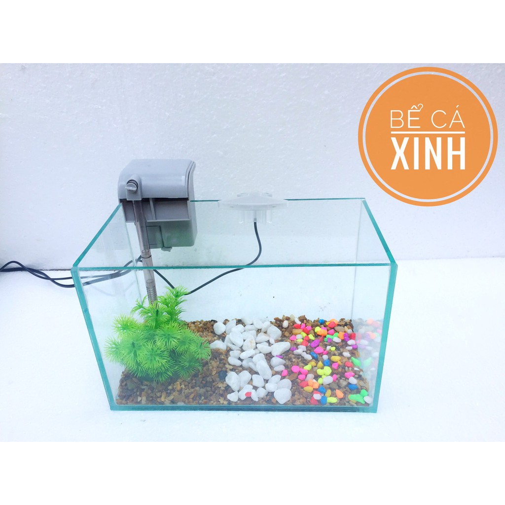 Bể cá mini để bàn 30x15x15 cm +lọc thác  (Tặng phụ kiện trang trí)