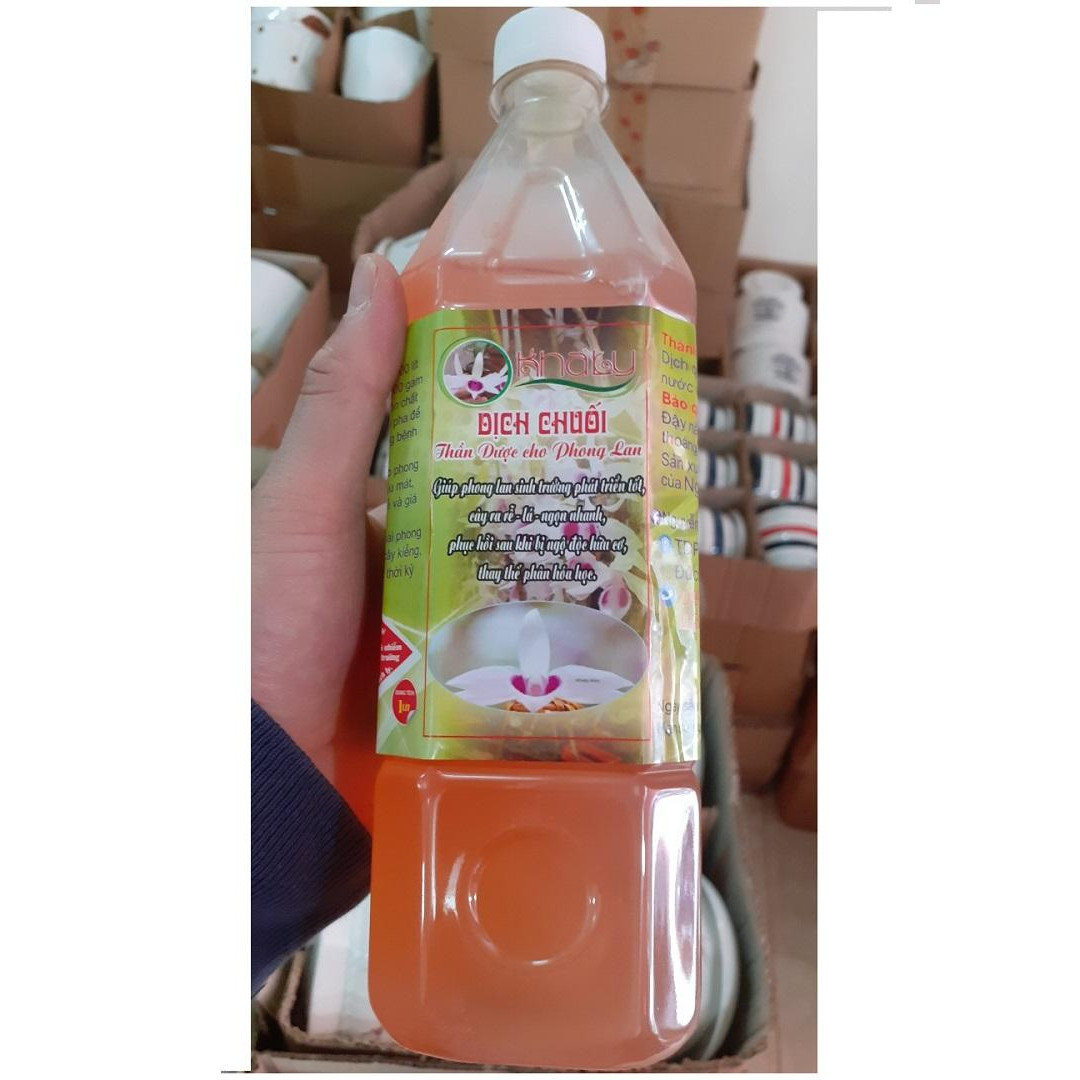 Dịch chuối cho Phong lan 1 lít
