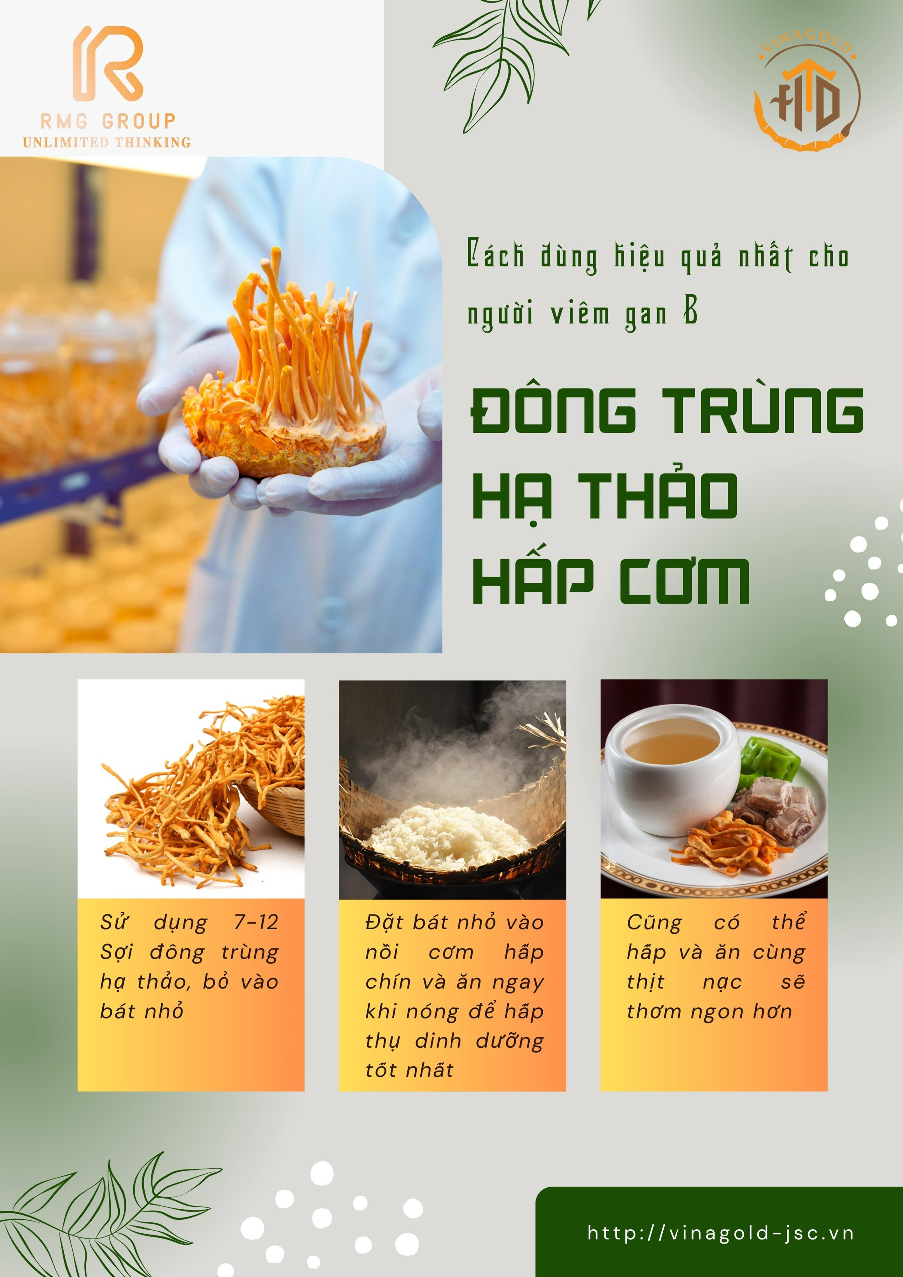 Đông trùng hạ thảo sấy thăng hoa