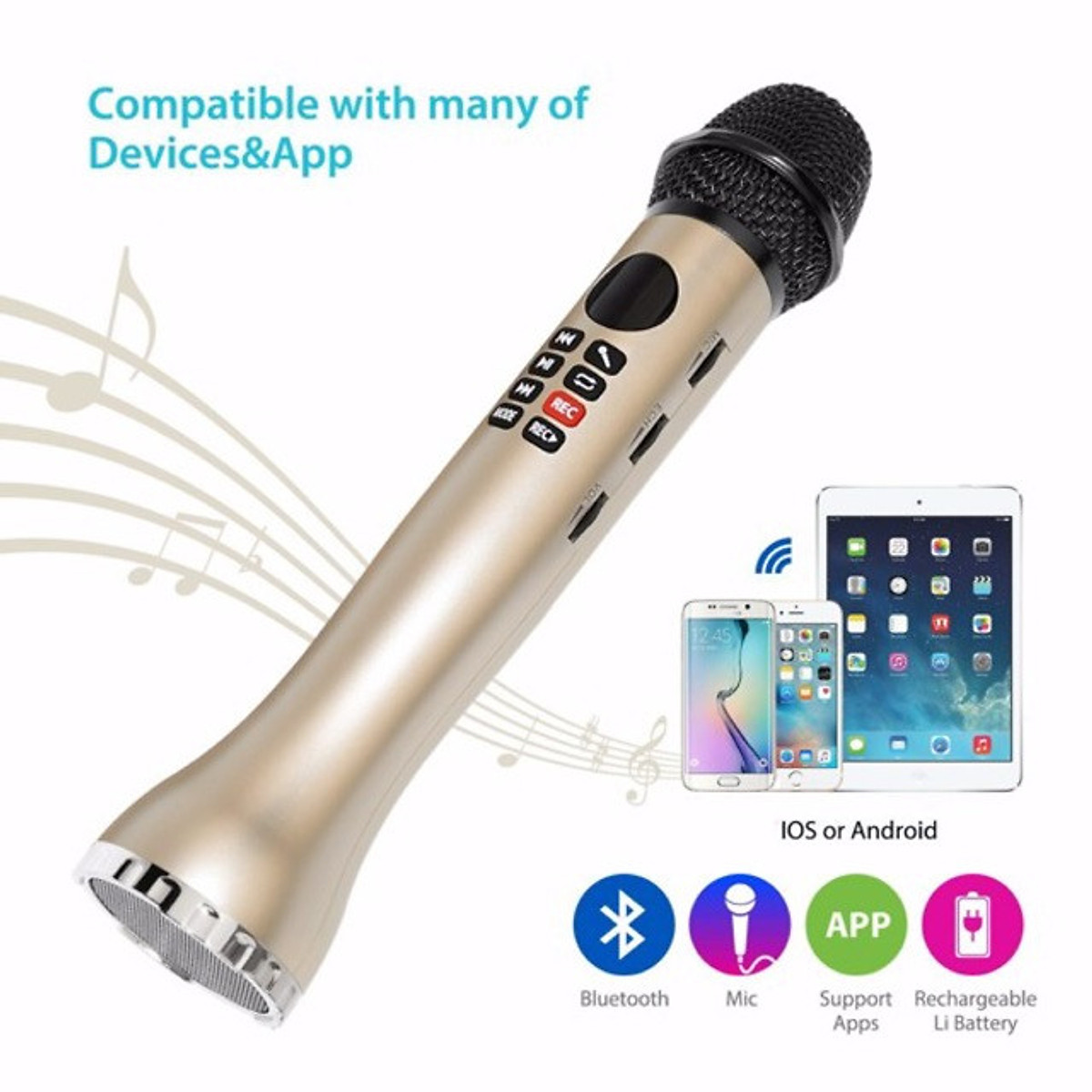 Micro Karaoke Bluetooth L-598 (Đen)