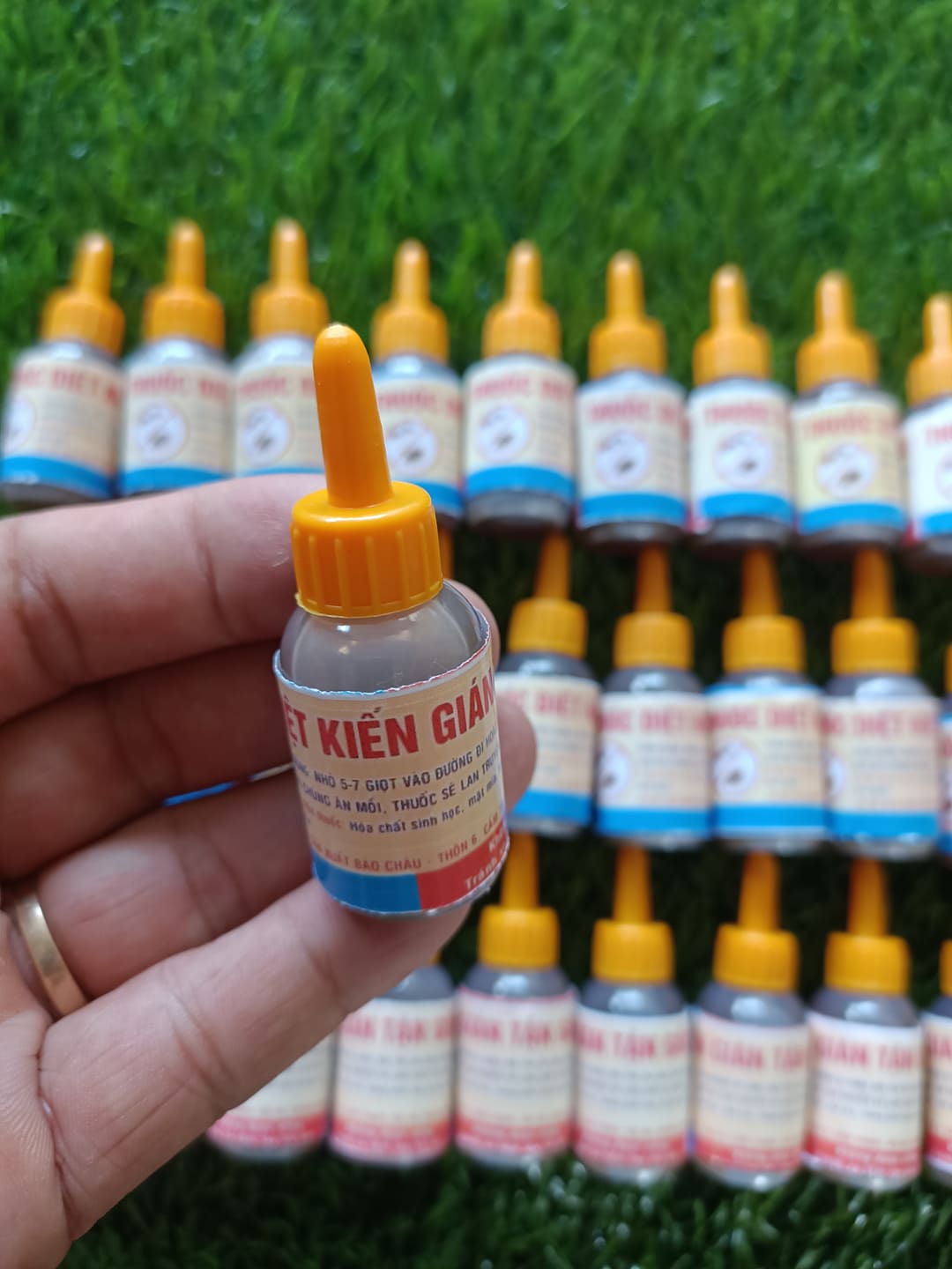 [Combo 20,30,50 lọ] thuốc diệt kiến gián tận gốc sinh học