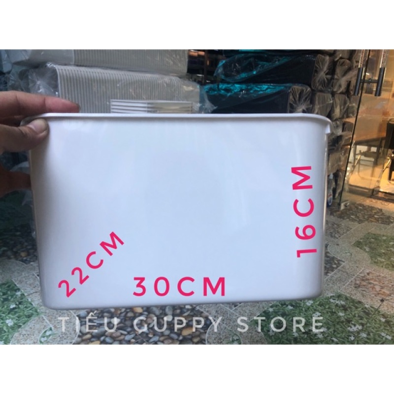 COMBO 5 THÙNG NHỰA NUÔI CÁ MÀU TRẮNG 30x22x16cm 7 lít