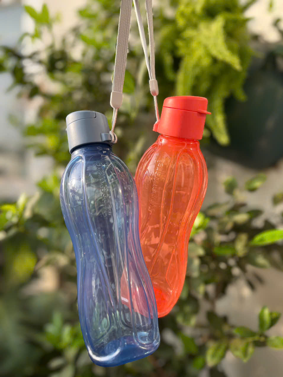 Bình Nước Tupperware Eco Bottle Gen II 500ml
