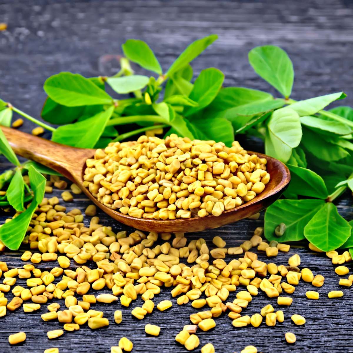 Ong Cha Va Fenugreek seed 500g