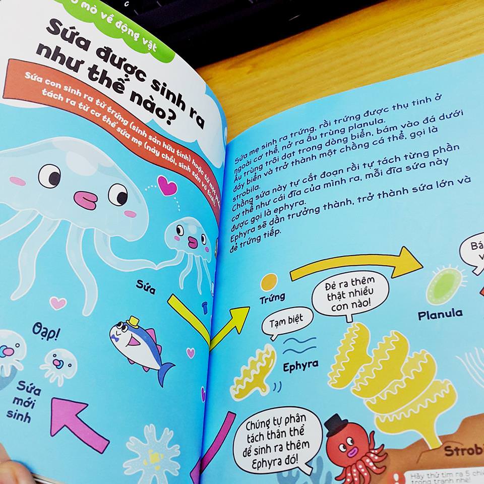 Sách - Gi Gỉ Gì Gi Cái Gì Cũng Biết - Dành Cho Lớp 3 (Nhã Nam HCM)
