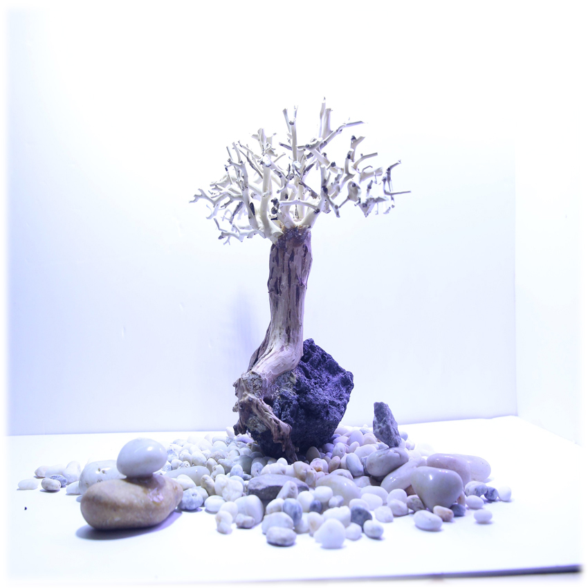 Lũa bonsai dành cho hồ cá cảnh hồ thủy sinh-KT30*17*23-Metep