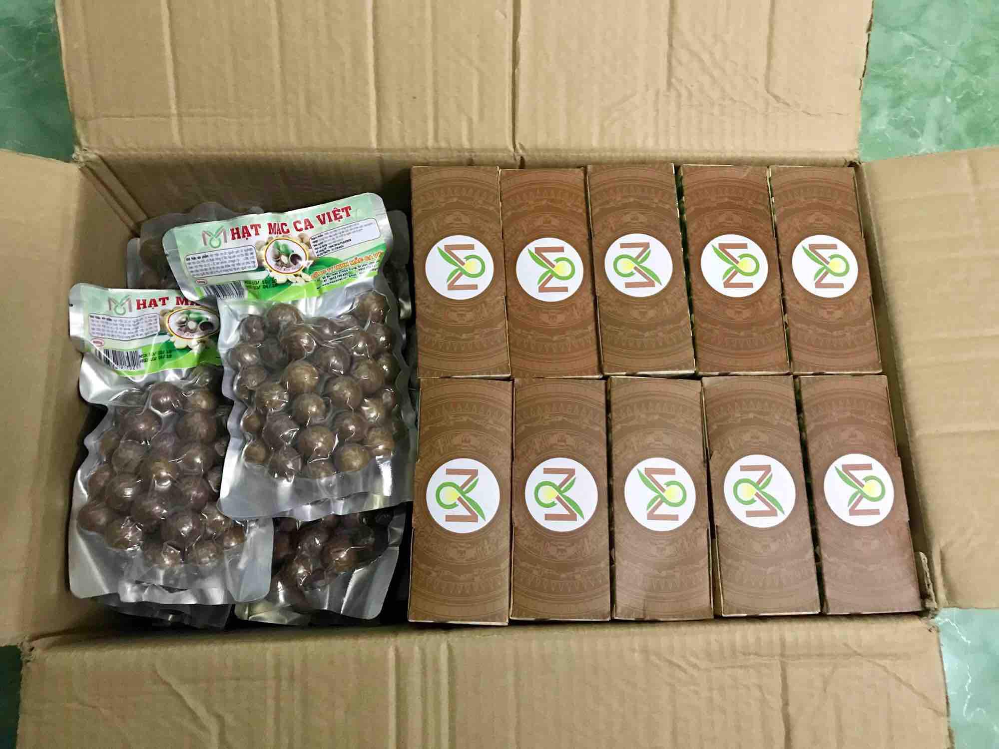 Hạt Macca (Macadamia) Đăk Lăk