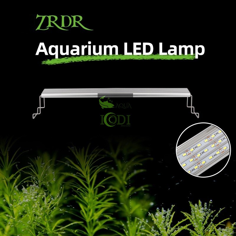 Đèn bể cá WYIN ZRDR LED-60