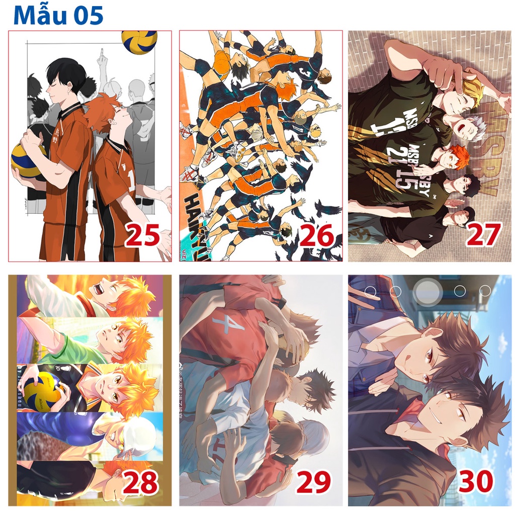 Poster / Tranh dán tường anime Haikyuu! ( 18 mẫu )