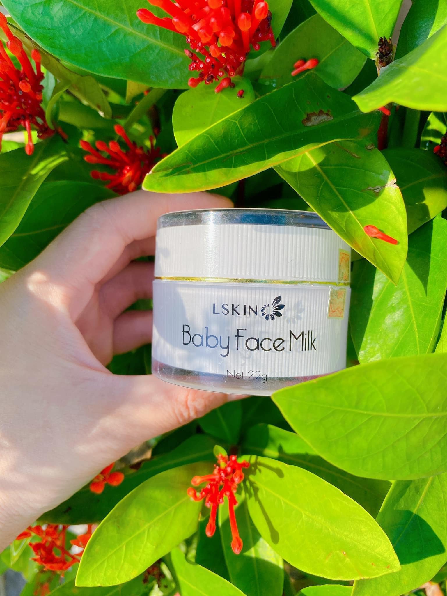 Baby face sản phẩm trắng da đan thy
