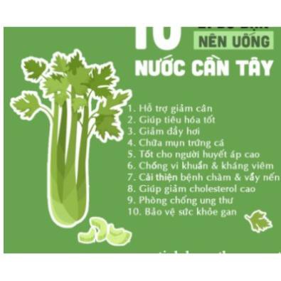 500GR Bột Cần Tây Sấy Lạnh
