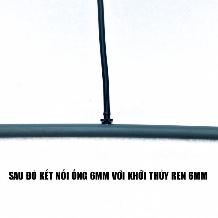 Combo 20 ron cao su khởi thủy 6mm