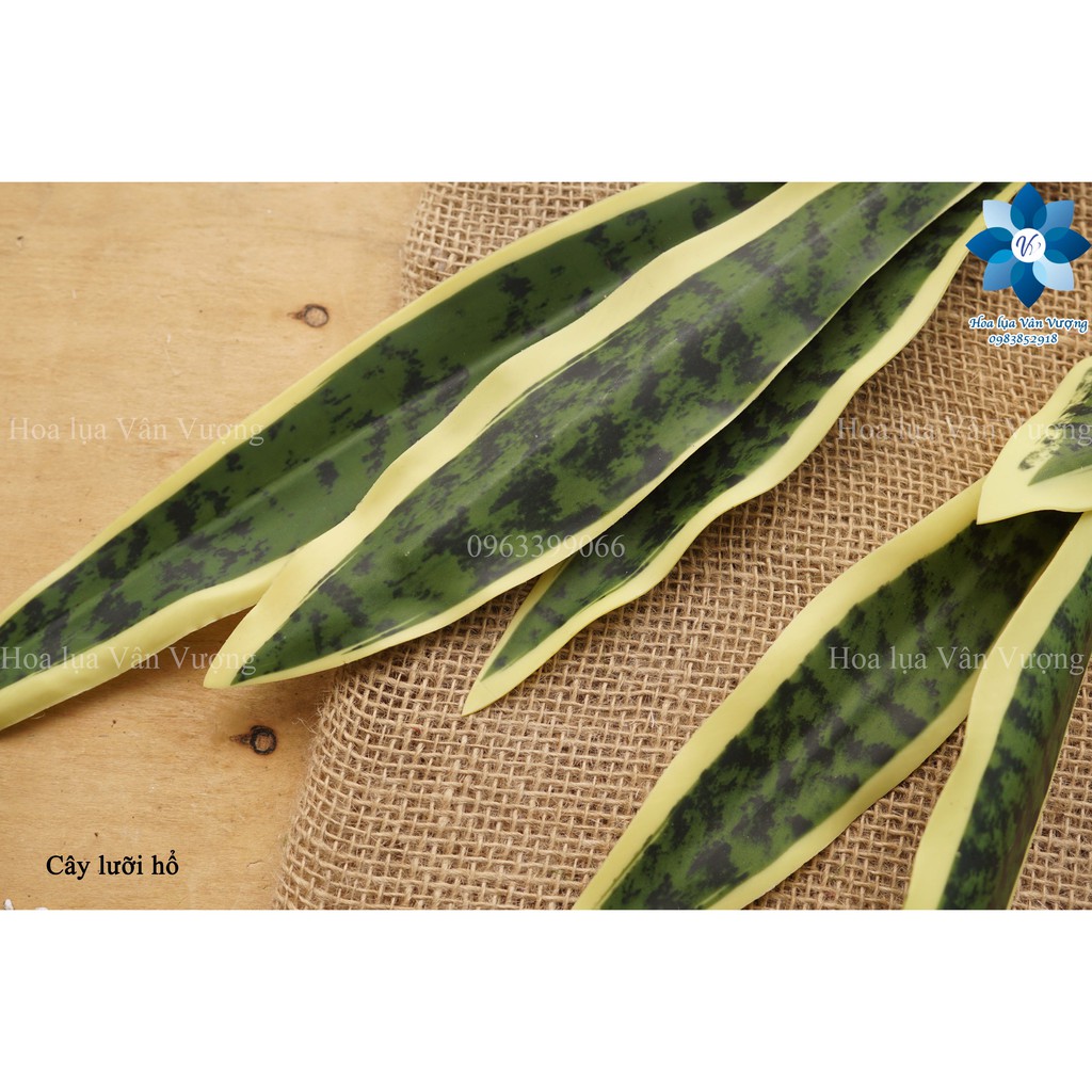 Cây Giả Cây Lưỡi Hổ Cao Su