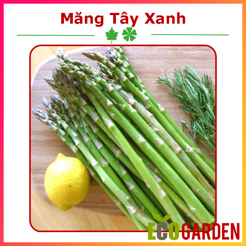 Hạt Giống Măng Tây Xanh (ECO.235)