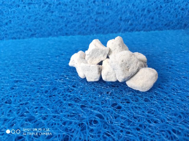 [Mã 158FMCGSALE giảm 7% tối đa 100K đơn 500K] 500g Đá Lông Vũ Nham Thạch Trắng Turkey 2-4 (Pumice) Lọc Hồ cá