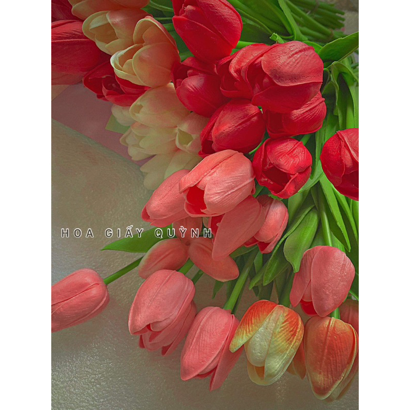 HOA TULIP cao su non mini