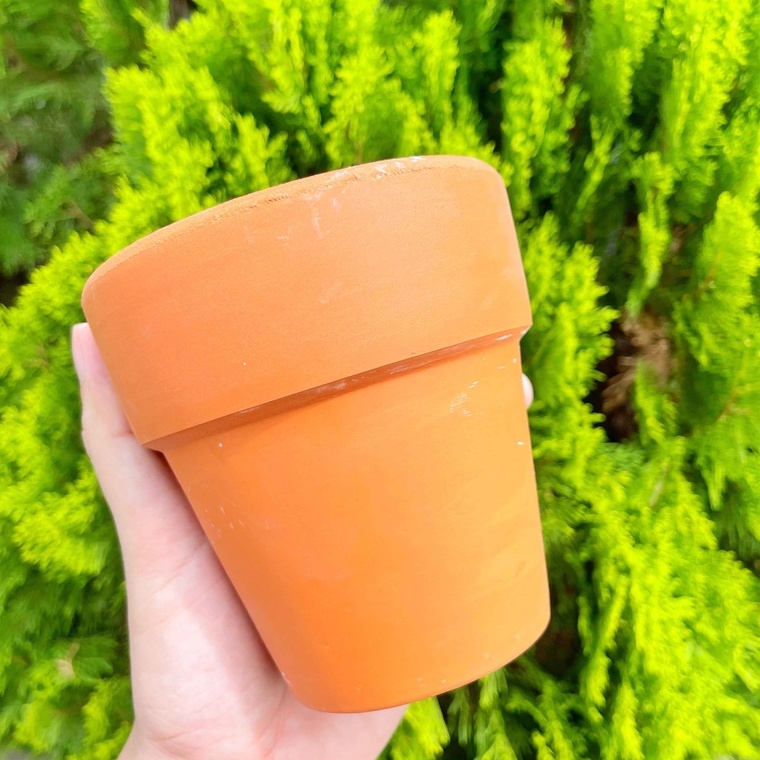 Chậu đất nung 11x11cm - Chậu trồng sen đá