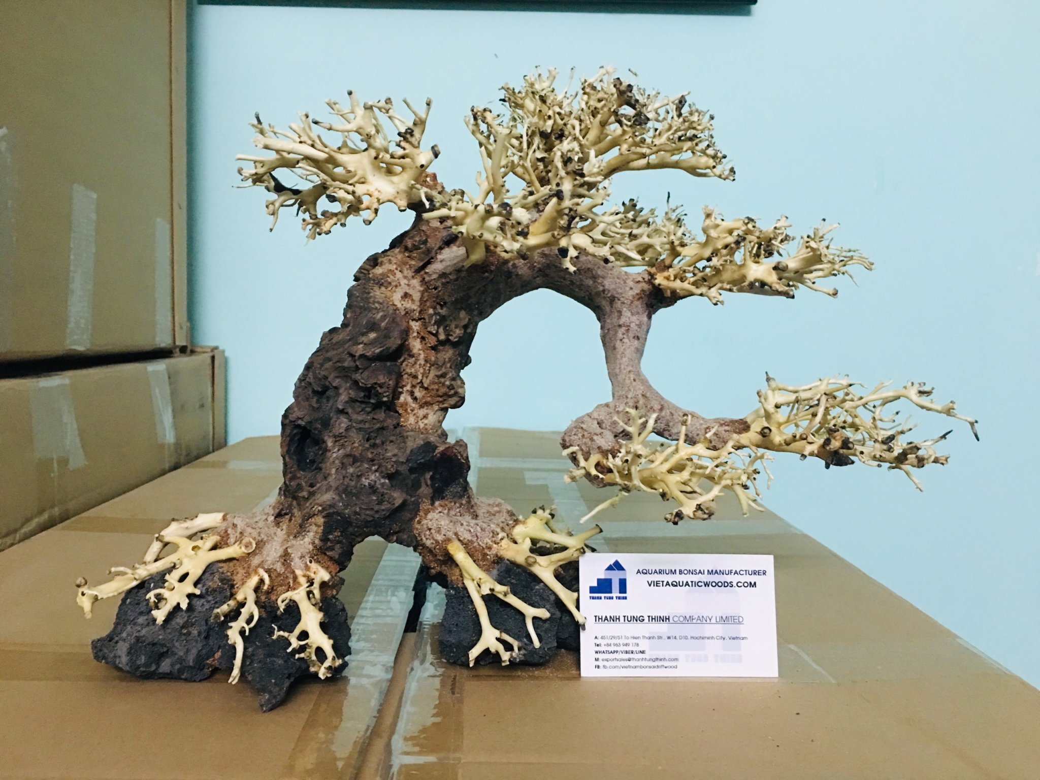 Driftwood Bonsai Aquatic Art Decoration Fish Tank Aquarium
