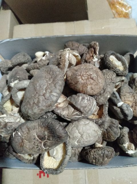 nấm đông cô dùng để nấu canh,lẩu,xào.. [100g]