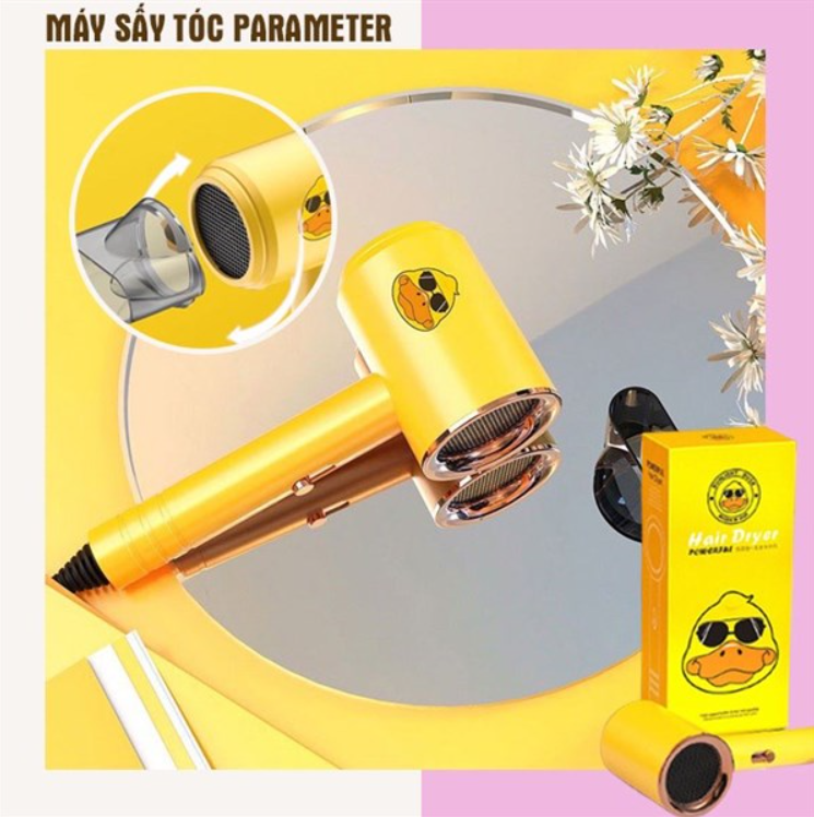 Lucky Duck 1200W 2-Way Hot and Cold Noiseless Hair Dryer