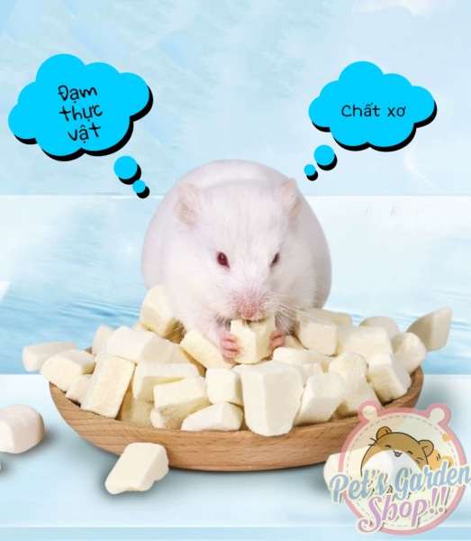 Tofu sấy lạnh - Thức ăn Hamster sóc... - Chất lượng sản phẩm đảm bảo an toàn, cam kết hàng đúng như mô tả