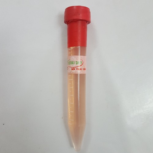 Keiki duy đỏ ống