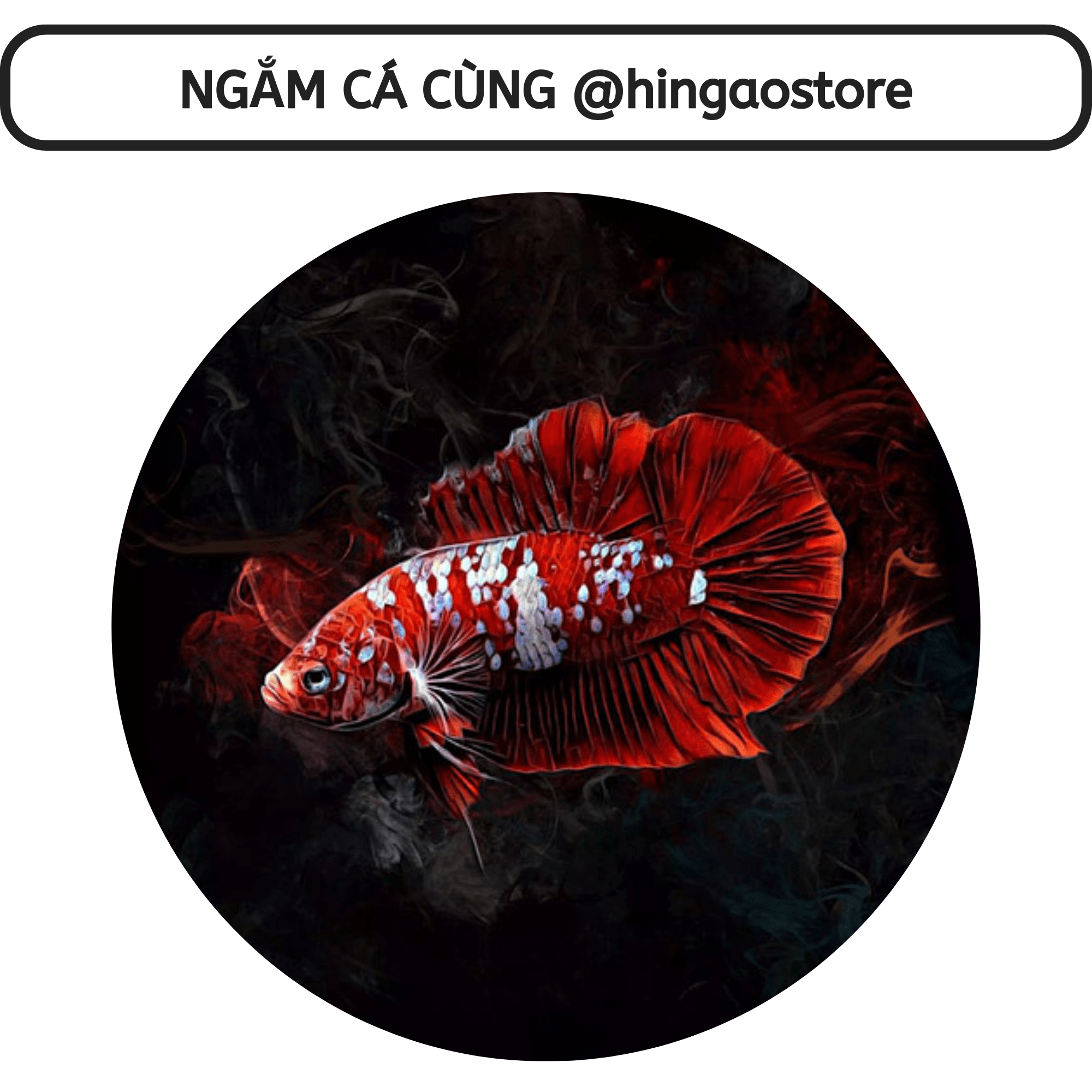 Gói hút ẩm - Gói chống ẩm | Hingaostore.