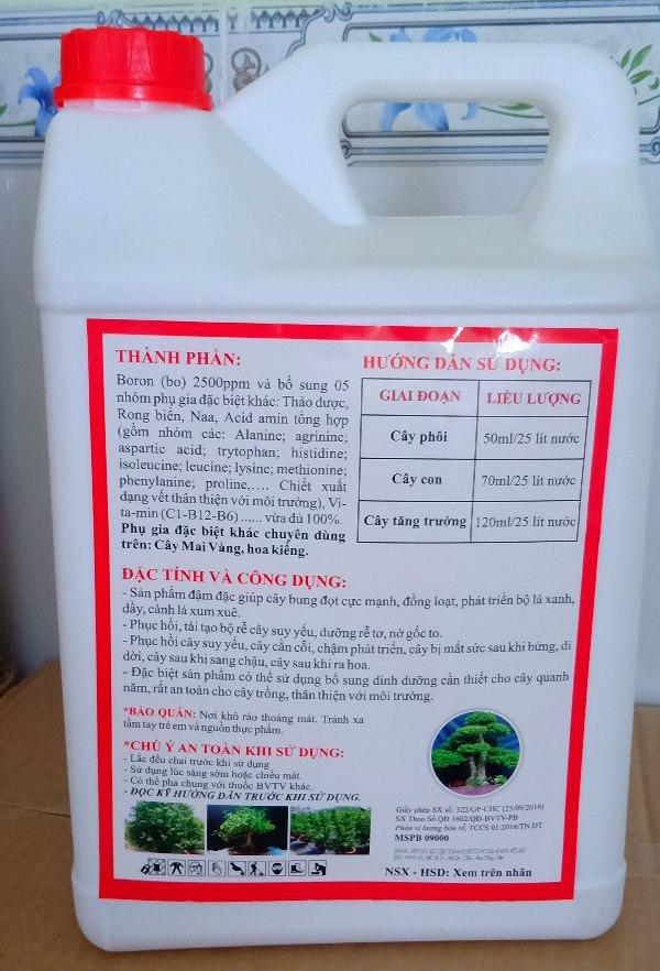PHÂN BÓN VỌT ĐỌT RA RỄ MAI VÀNG HOA KIỂNG