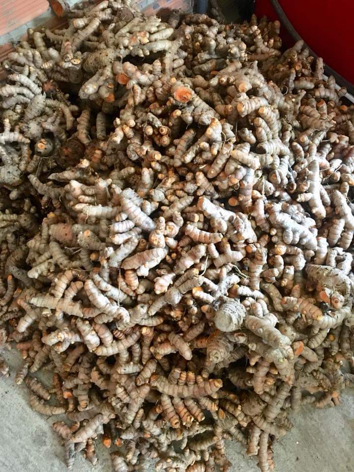 KHÔ BÒ CỦ CHI ĐẶC SẢN CỦ CHI