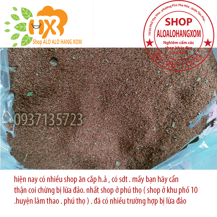 hạt giống cây tràm úc - 500 gram