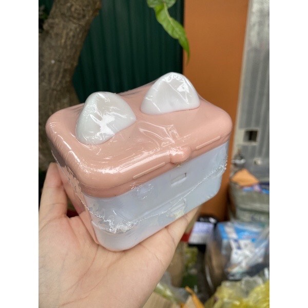 hộp kim chỉ tai mèo