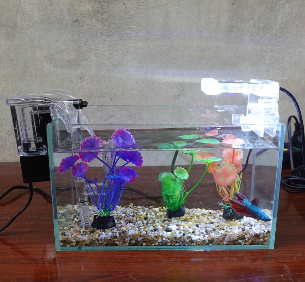 Bể cá mini 24 cm với 5 món (bể 24, sỏi nền, máy lọc, 3 cây nhựa mini, đèn led 1.5W)