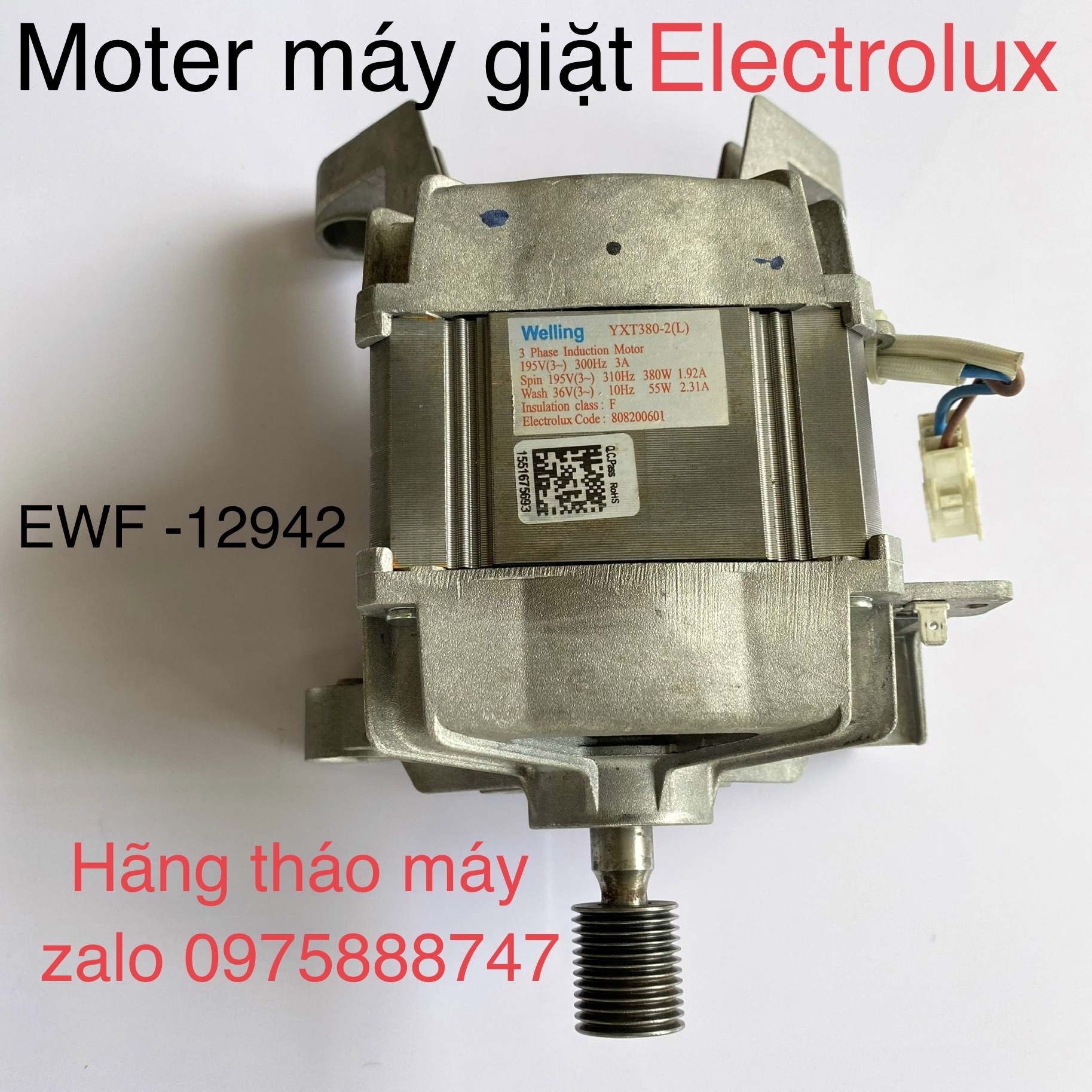 Moter máy giặt electrolux ewf-12942