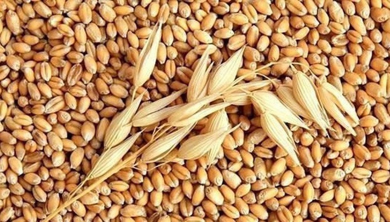 Thorakao Kem Nghệ Collagen 10g