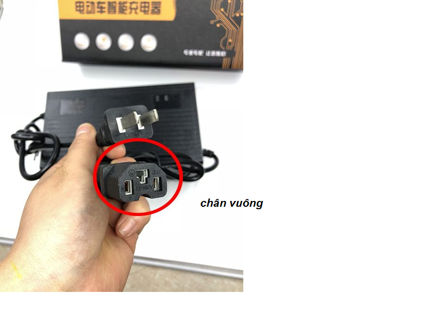 Sạc xe điện 133s 48V-20AH chân chụp